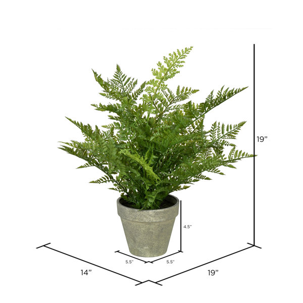 Birch Lane™ Artificial Fern Plant in Pot & Reviews Wayfair